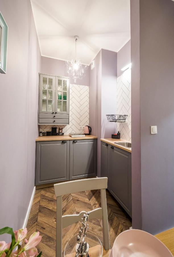 Apartament Z Ogrodkiem I Garazem พอซนาน ภายนอก รูปภาพ